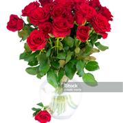 Valentines 12 Red Rose Hand-tied Premier Flowers Norwich Florist